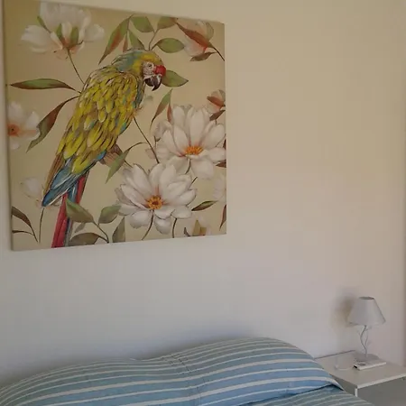 Carducci Penthouse